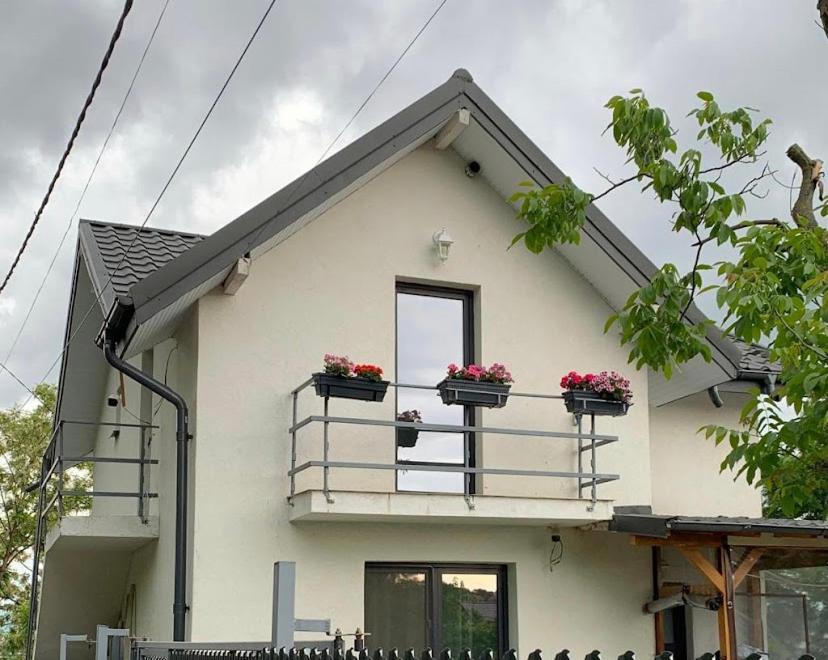 Anastasia'S Villa Iasi Exterior photo